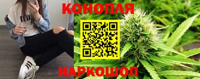 гидропоника Жуковский
